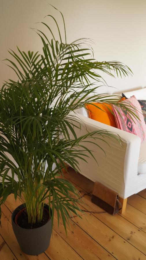 Les Terrasses De Templeuve Bed & Breakfast エクステリア 写真