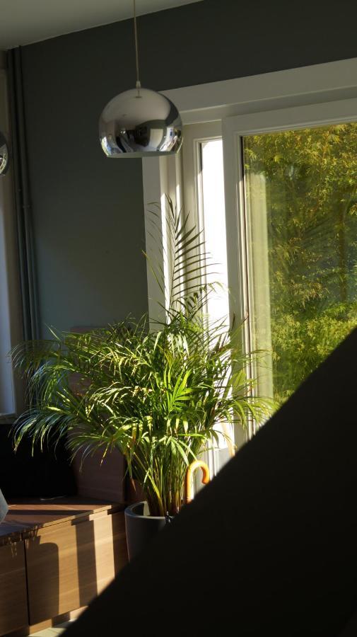Les Terrasses De Templeuve Bed & Breakfast エクステリア 写真